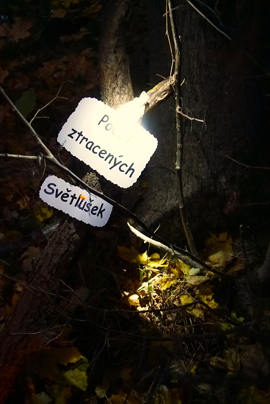 Uspávání Broučků - Světlušek