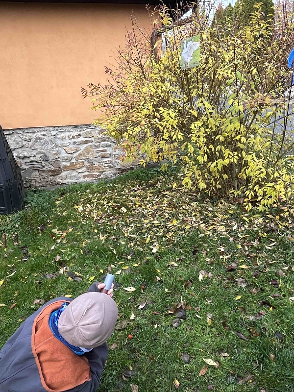 11.11. Svatý Martin