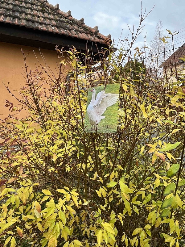 11.11. Svatý Martin