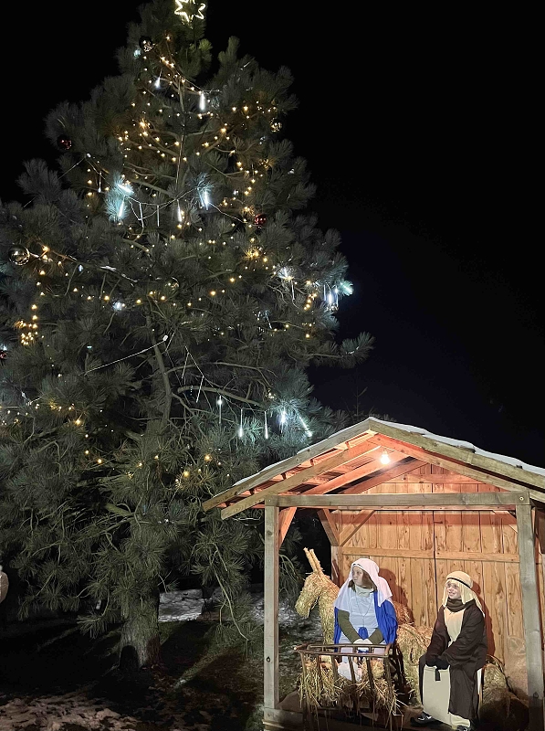 Rozsvěcování vánočního stromu