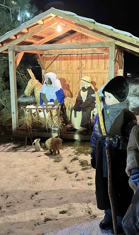 Rozsvěcování vánočního stromu